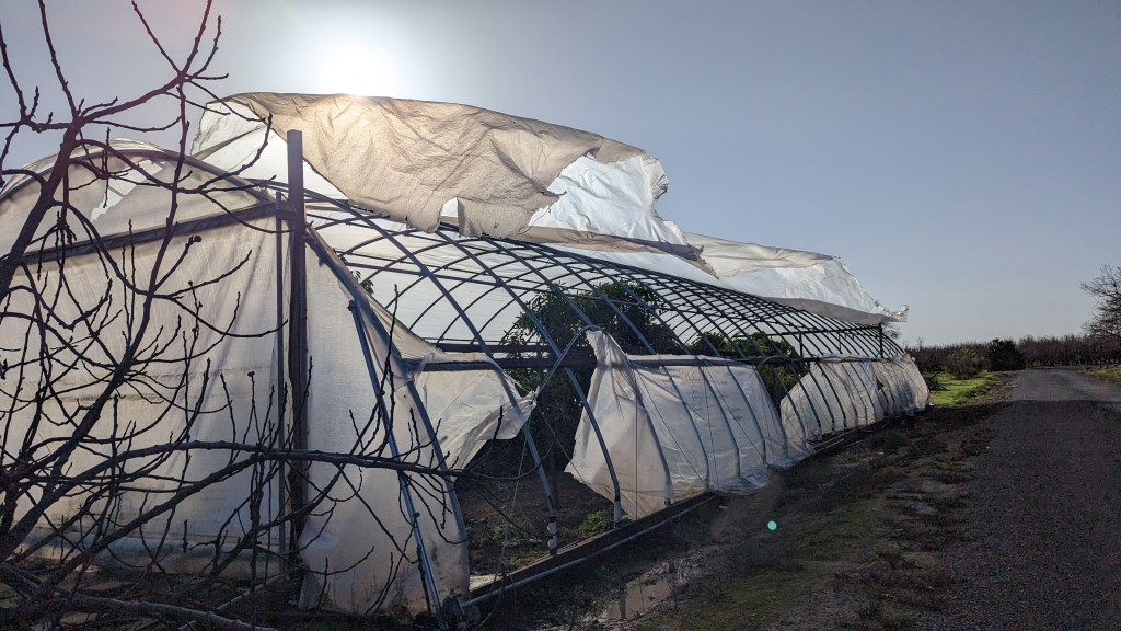 Protected: December 2022 and January 2023 – Storms and Figaholics Cutting&nbsp;Season